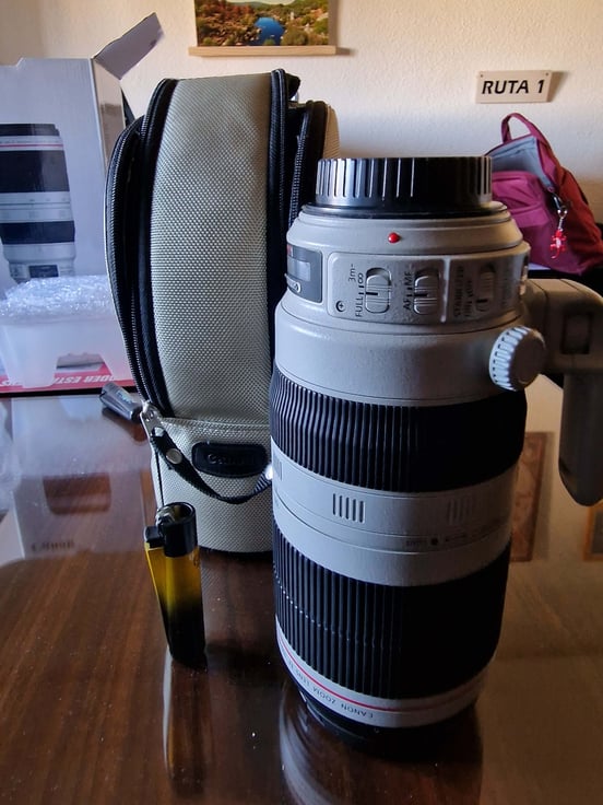 その他 Canon EF100-400mm F4.5-5.6L IS II USM EF100-400mm F4.5-5.6L IS II USM：レンズ交換式カメラ・レンズ